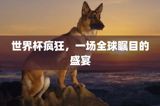世界杯疯狂，一场全球瞩目的盛宴