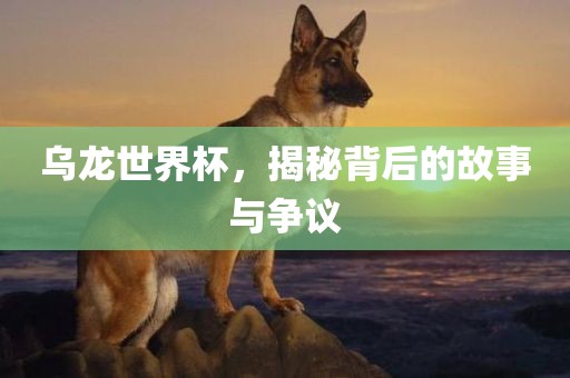 乌龙世界杯，揭秘背后的故事与争议
