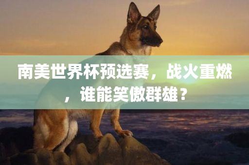 南美世界杯预选赛，战火重燃，谁能笑傲群雄？