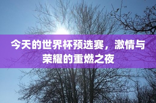 今天的世界杯预选赛，激情与荣耀的重燃之夜吉安市靖泰电力工程有限公司