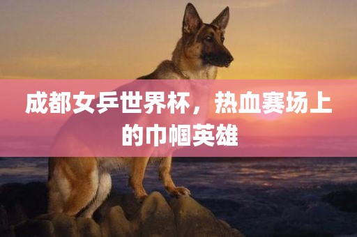 成都女乒世界杯，热血赛场上的巾帼英雄