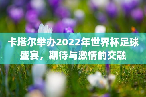 卡塔尔举办2022年世界杯足球盛宴，期待与激情的交融