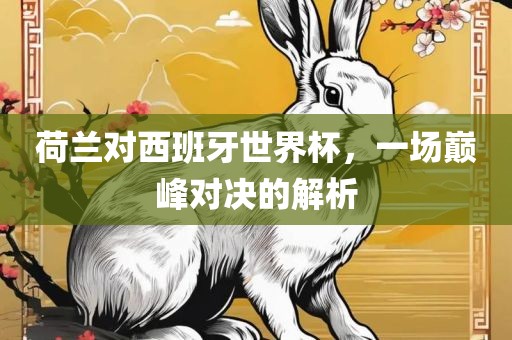 荷兰对西班牙世界杯，一场巅峰对决的解析