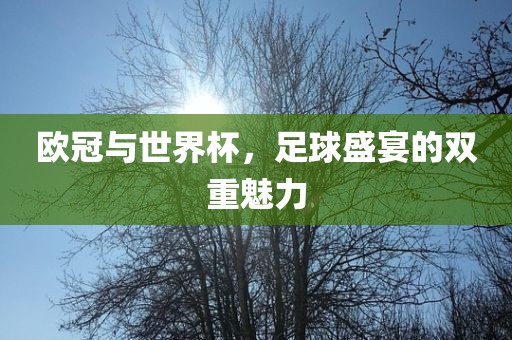 欧冠与世界杯，足球盛宴的双重魅力吉安市靖泰电力工程有限公司