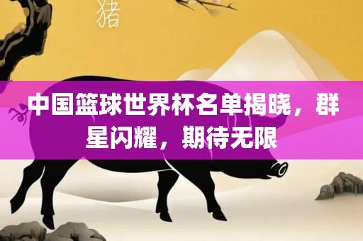 中国篮球世界杯名单揭晓，群星闪耀，期待无限