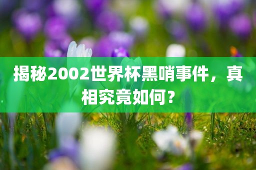 揭秘2002世界杯黑哨事件，真相究竟如何？