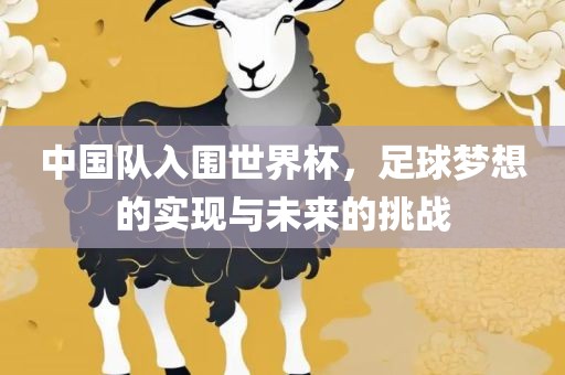 中国队入围世界杯，足球梦想的实现与未来的挑战