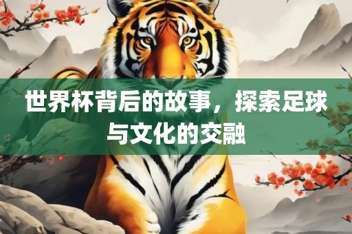 世界杯背后的故事，探索足球与文化的交融