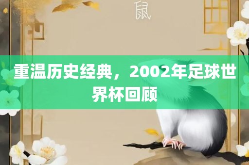 重温历史经典，2002年足球世界杯回顾吉安市靖泰电力工程有限公司