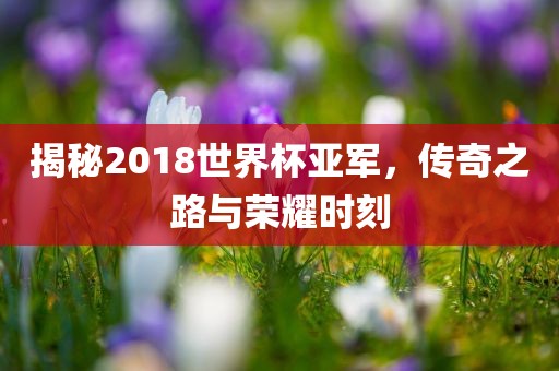 揭秘2018世界杯亚军，传奇之路与荣耀时刻