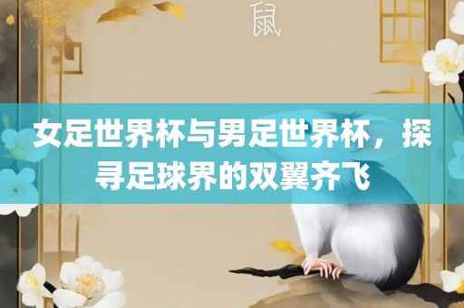 女足世界杯与男足世界杯，探寻足球界的双翼齐飞