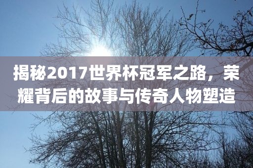 揭秘2017世界吉安市靖泰电力工程有限公司杯冠军之路，荣耀背后的故事与传奇人物塑造