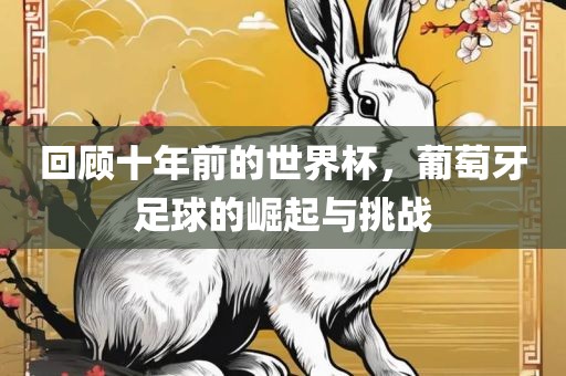 回顾十年前的世界杯，葡萄牙足球的崛起与挑战吉安市靖泰电力工程有限公司