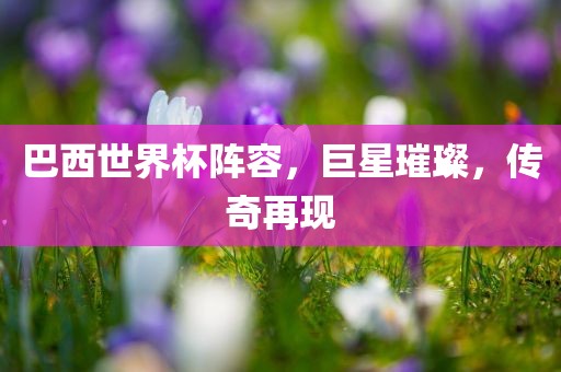 巴西世界杯阵容，巨星璀璨，传奇再现