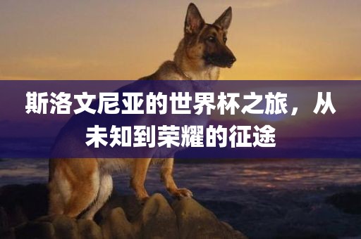 斯洛文尼亚的世界杯之旅，从未知到荣耀的征途