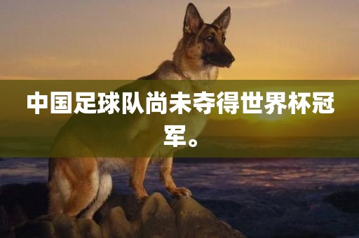 中国足球队尚未夺得世界杯冠军。吉安市靖泰电力工程有限公司