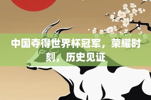 中国夺得世界杯冠军，荣耀时刻，历史见证