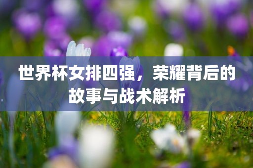 世界杯女排四强，荣耀背后的故事与战术解析