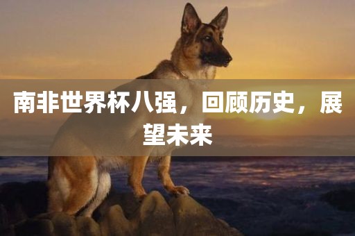 南非世界杯八强，回顾历史，展望未来