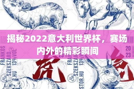 揭秘2022意大利世界杯，赛场内外的精彩瞬间