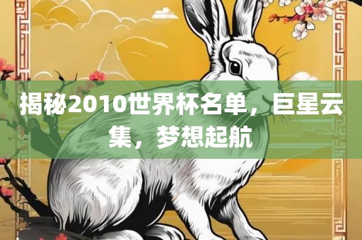 揭秘2010世界杯名单，巨星云集，梦想起航