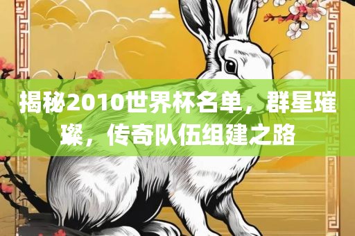 揭秘2010世界杯名单，群星璀璨，传奇队伍组建之路
