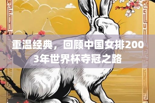 重温经典，回顾中国女排2003年世界杯夺冠之路