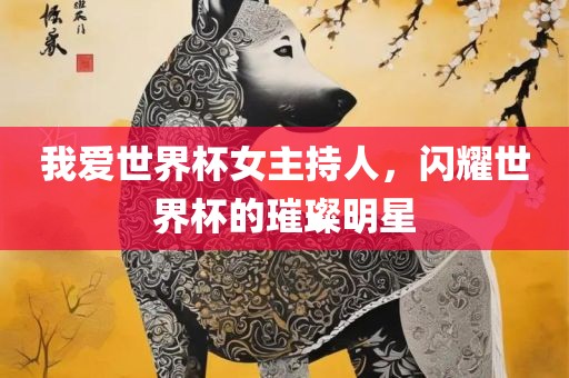 我爱世界杯女主持人，闪耀世界杯的璀璨明星