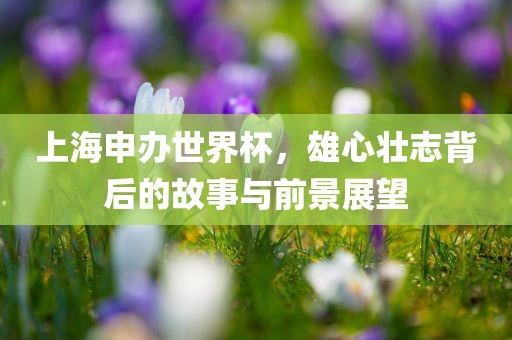 上海申办世界杯，雄心壮志背后的故事与前景展望