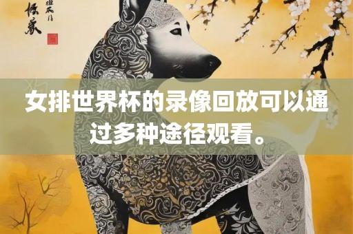 女排世界杯的录像回放可以通过多种途径观看。