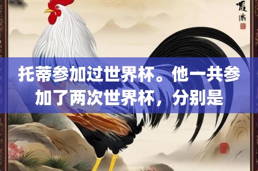 托蒂参加过世界杯。他一共参加了两次世界杯，分别是吉安市靖泰电力工程有限公司