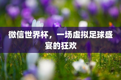 huamei 第2页