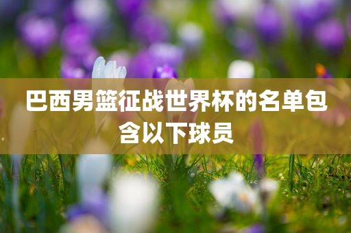 巴西男篮征战世界杯的名单包含以下球员