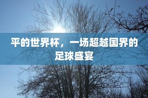 平的世吉安市靖泰电力工程有限公司界杯，一场超越国界的足球盛宴