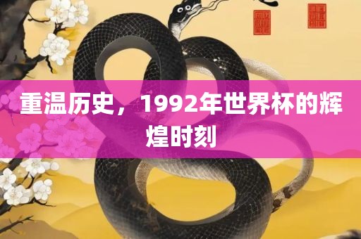 重温历史，1992年世界杯的辉煌时刻
