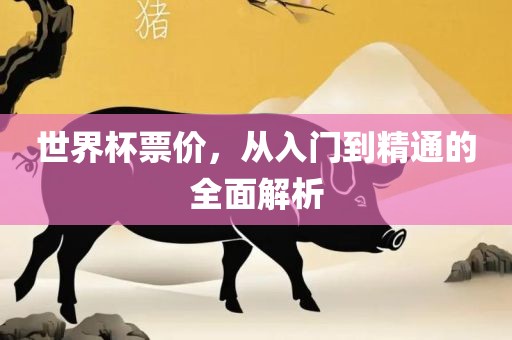 世界杯票价，从入门到精通的全面解析