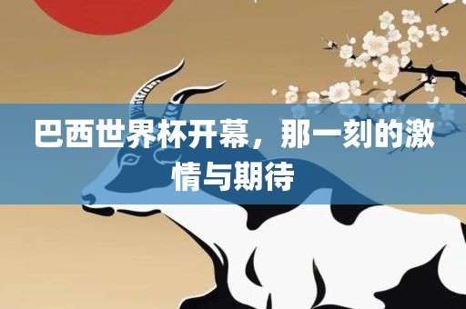 巴西世界杯开幕，那一刻的激情与期待