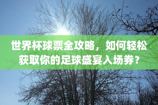 世界杯球票全攻略吉安市靖泰电力工程有限公司，如何轻松获取你的足球盛宴入场券？