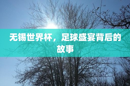 无锡世界杯，足球盛宴背后的故事吉安市靖泰电力工程有限公司