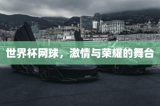世界杯网球，激情与荣耀的舞台吉安市靖泰电力工程有限公司