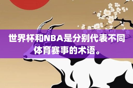 吉安市靖泰电力工程有限公司世界杯和NBA是分别代表不同体育赛事的术语。
