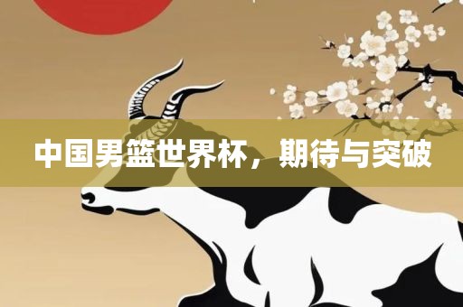中国男篮世界杯，期待与突破