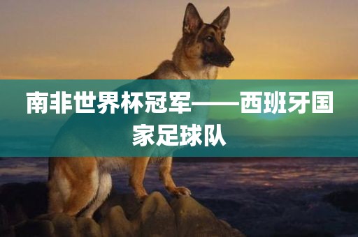 南非世界杯冠军——西班牙国家足球队