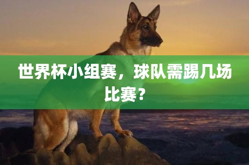 世界杯小组赛，球队需踢几场比赛？