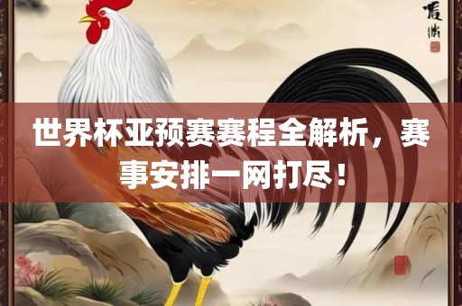 世界杯亚预赛赛程全解析，赛事安排一网打尽！