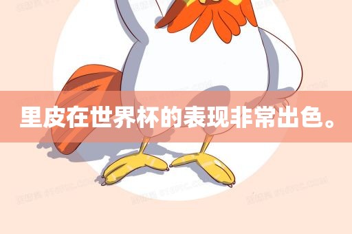 里皮在世界杯的表现非常出色。
