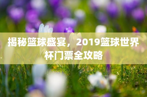 揭秘篮球盛宴，2019篮球世界杯门票全攻略