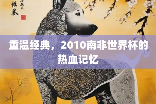 重温经典，2010南非世界杯的热血记忆