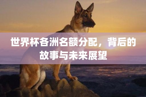 世界杯各洲名额分配，背后的故事与未来展望吉安市靖泰电力工程有限公司