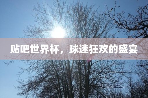 贴吧世界杯，球迷狂欢的盛宴
